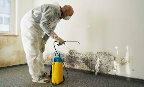 Best Industrial Mold Remediation  in Oneida, TN